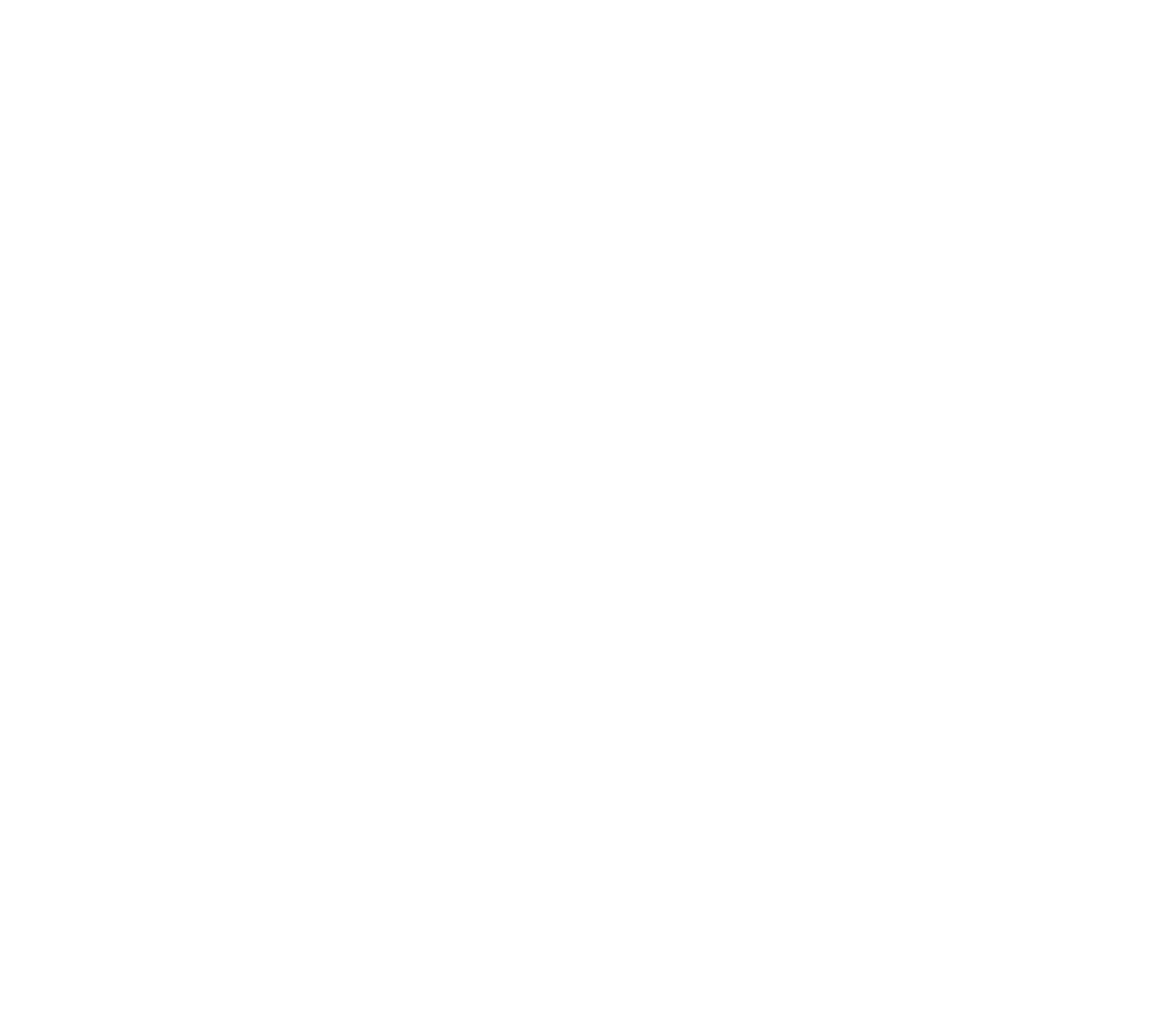 Pertusati Performance Group